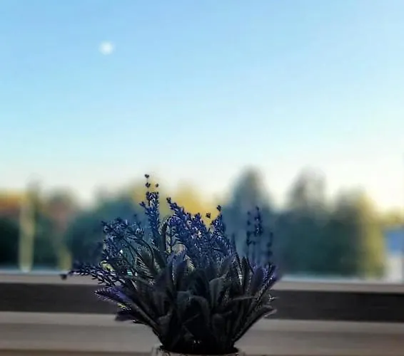 Apartmán Centrum Super Mario *